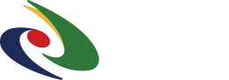 NAVER S